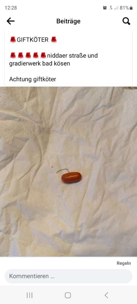 Giftköder-Giftköder-Profilbild