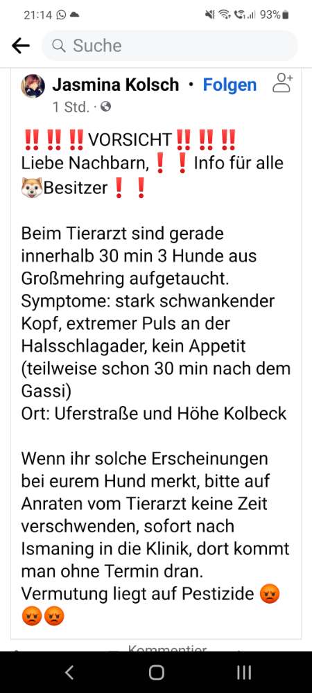Giftköder-Vergifteter Hund-Profilbild