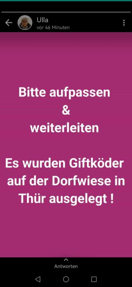 Giftköder-Giftköder in Thür-Profilbild