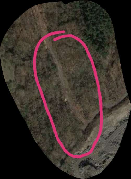 Giftköder-Gefahr-Profilbild