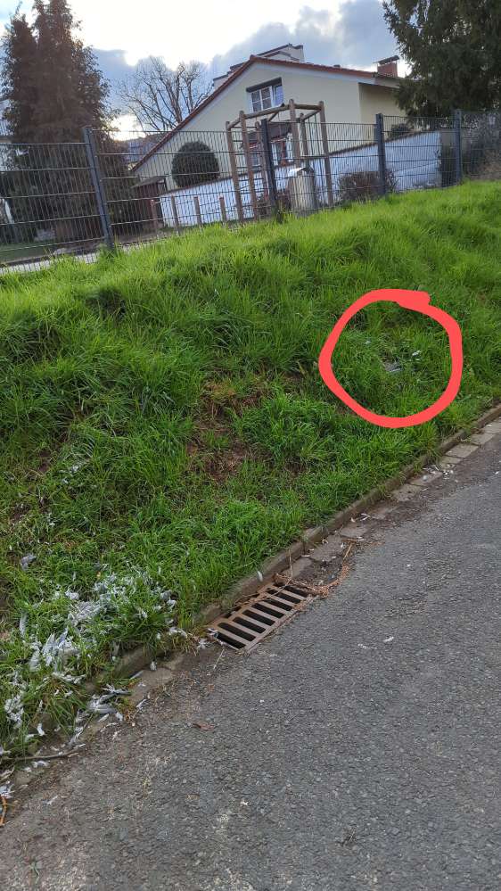 Giftköder-Tierkadaver-Profilbild