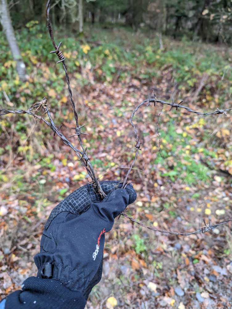 Giftköder-Stacheldraht am Wegrand-Profilbild