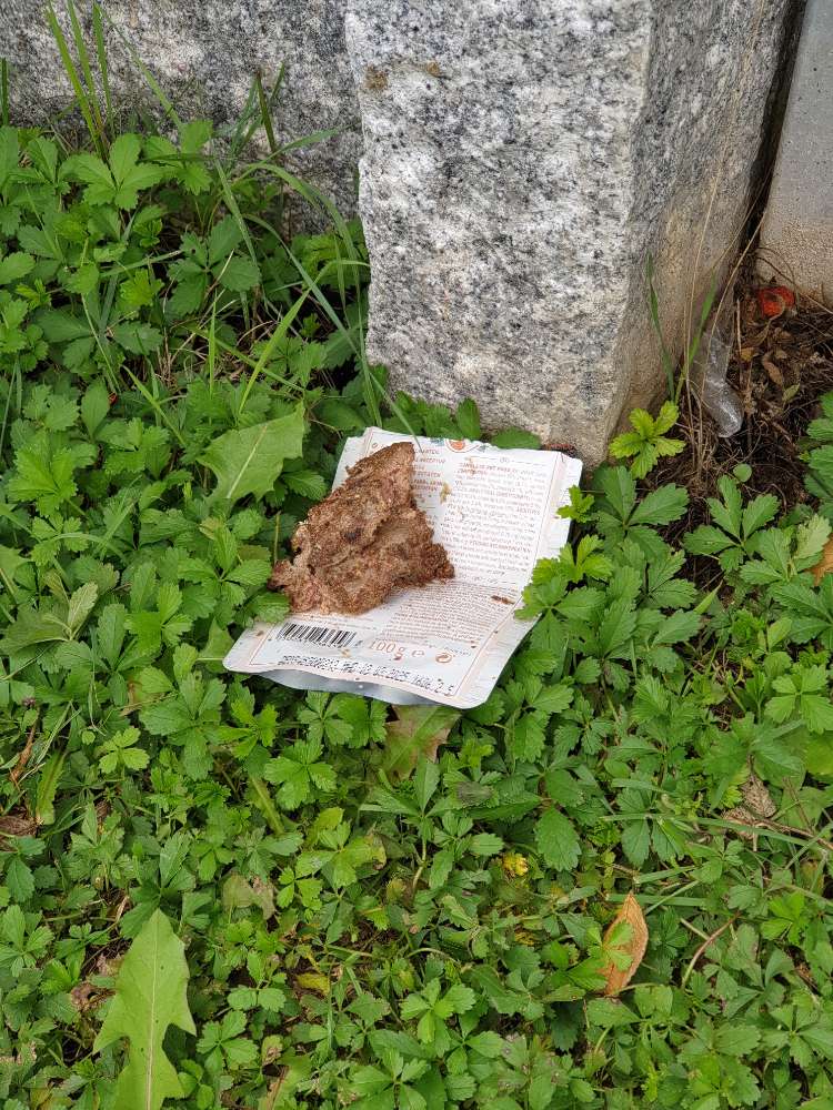 Giftköder-Möglicher Giftköder-Profilbild