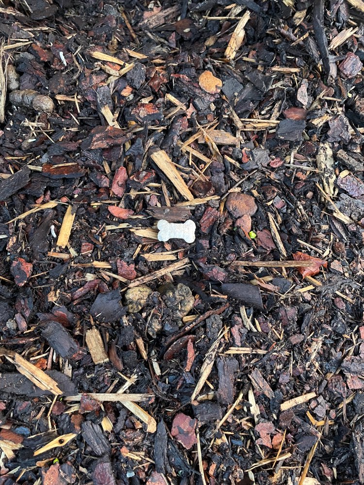 Giftköder-Hundekekse ausgelegt-Profilbild