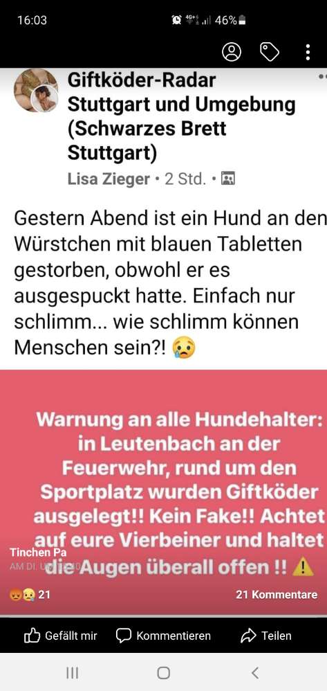 Giftköder-Giftköder-Profilbild