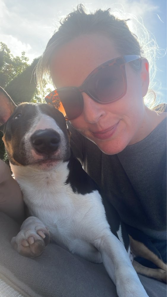 Hundetreffen-Spielpartner Fellnase wird erschnüffelt-Profilbild