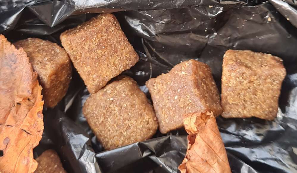 Giftköder-Leckerlis versteckt-Profilbild