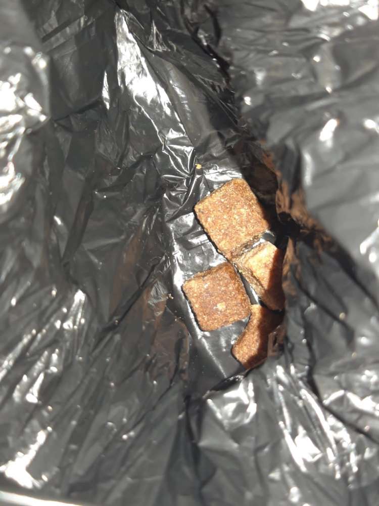 Giftköder-V.a. Giftköder-Profilbild