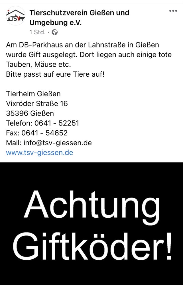 Giftköder-Giftköder am Gießener Bahnhof-Profilbild