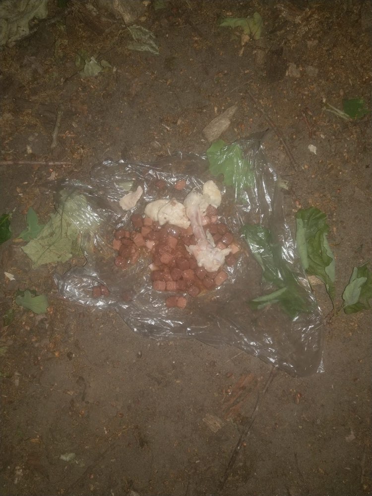 Giftköder-Giftköder im Wäldchen neben Schwimmbad-Profilbild