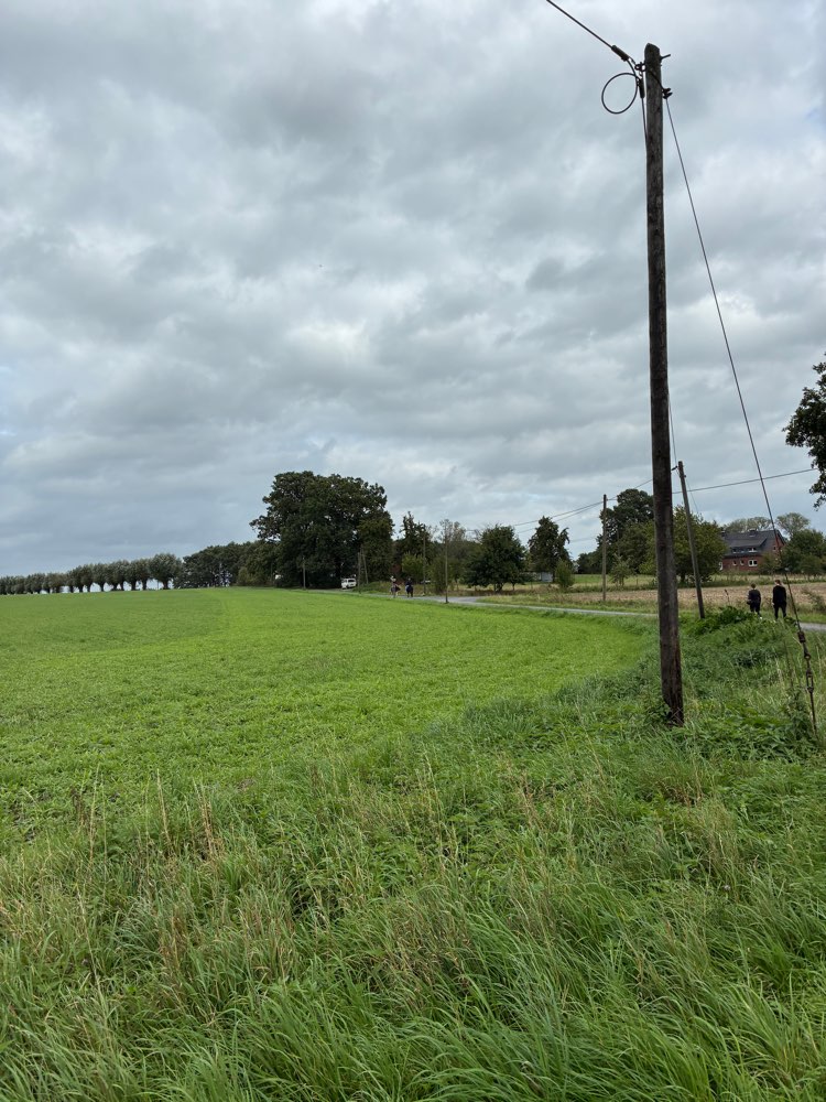 Hundetreffen-Geimeinsame Gassirunde-Profilbild