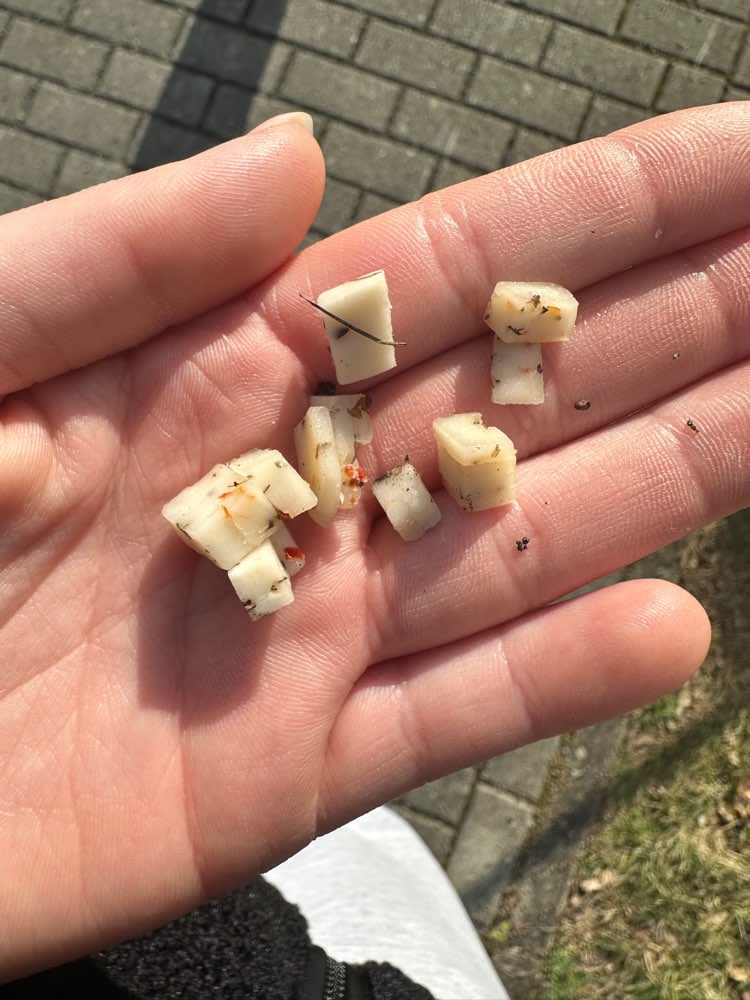 Giftköder-Vermutlicher Giftköder!!!!-Profilbild