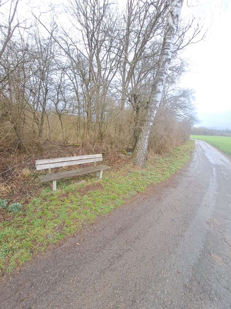 Giftköder-Vermutlich Giftköder !-Profilbild