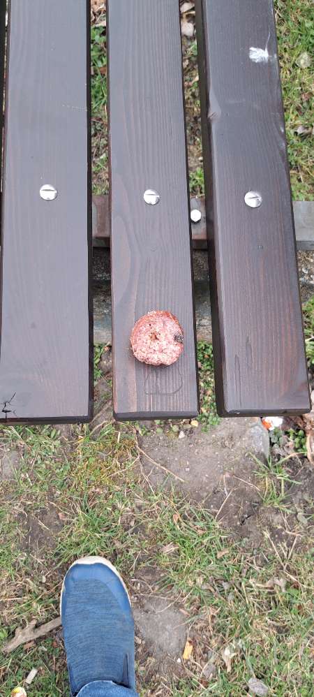 Giftköder-Giftköder-Profilbild