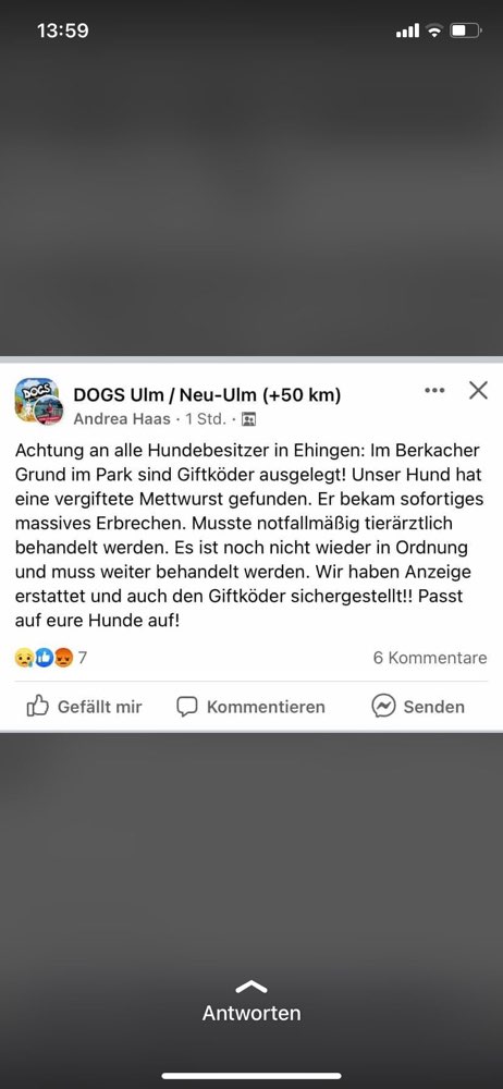 Giftköder-Giftköder-Profilbild