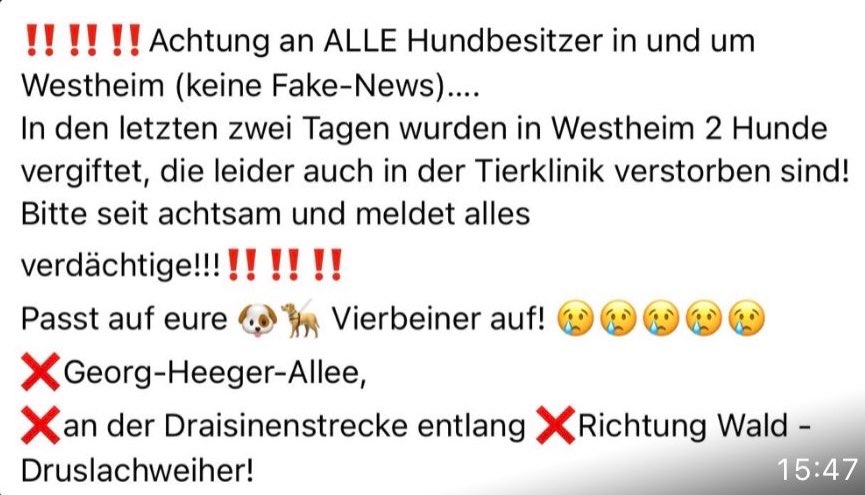 Giftköder-Giftköder-Profilbild