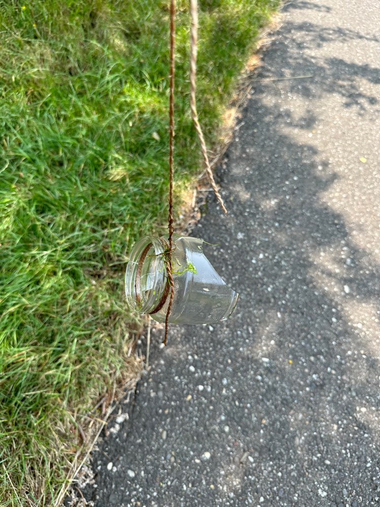 Giftköder-Präparierte Glasscherbe an einer Schnur-Profilbild