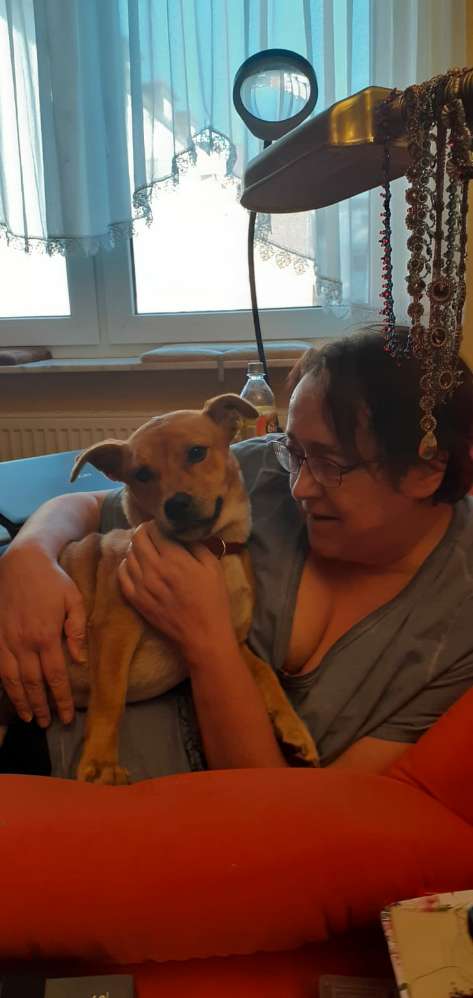 Hundetreffen-Gassi Runde im Karpfenzug-Profilbild