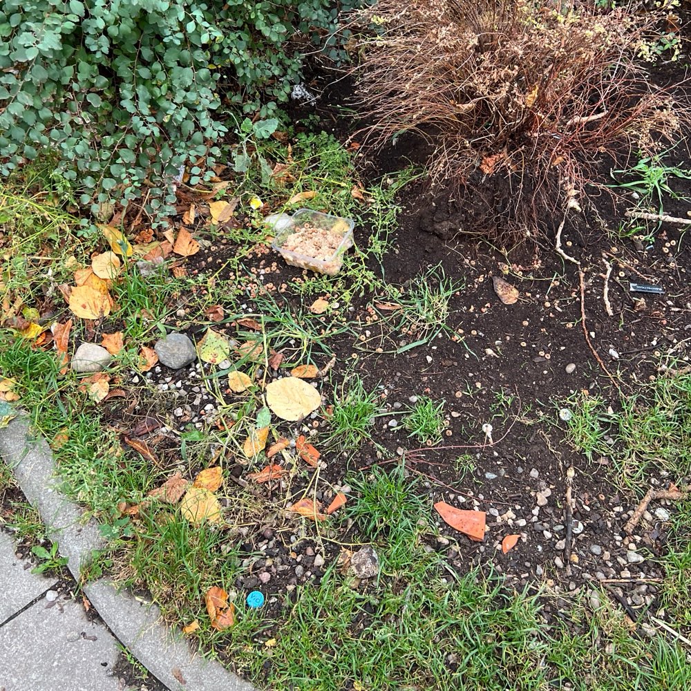 Giftköder-Auffälliges Trockenfutter verstreut-Profilbild