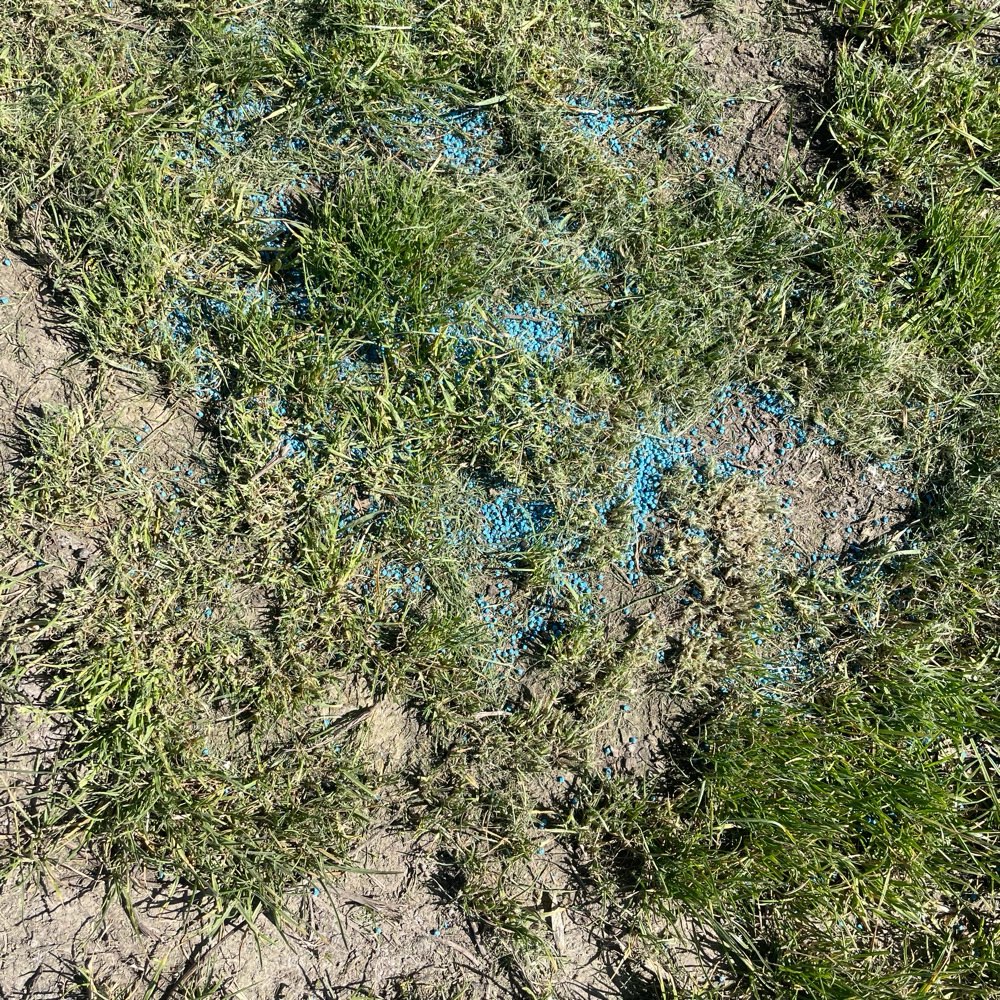 Giftköder-Schneckenkorn?-Profilbild