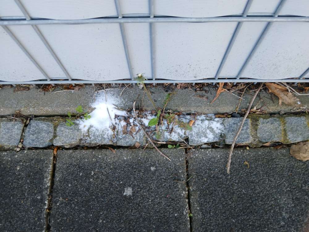 Giftköder-Evtl giftiges Pulver-Profilbild