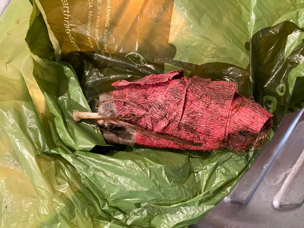 Giftköder-Giftköder gefunden-Profilbild