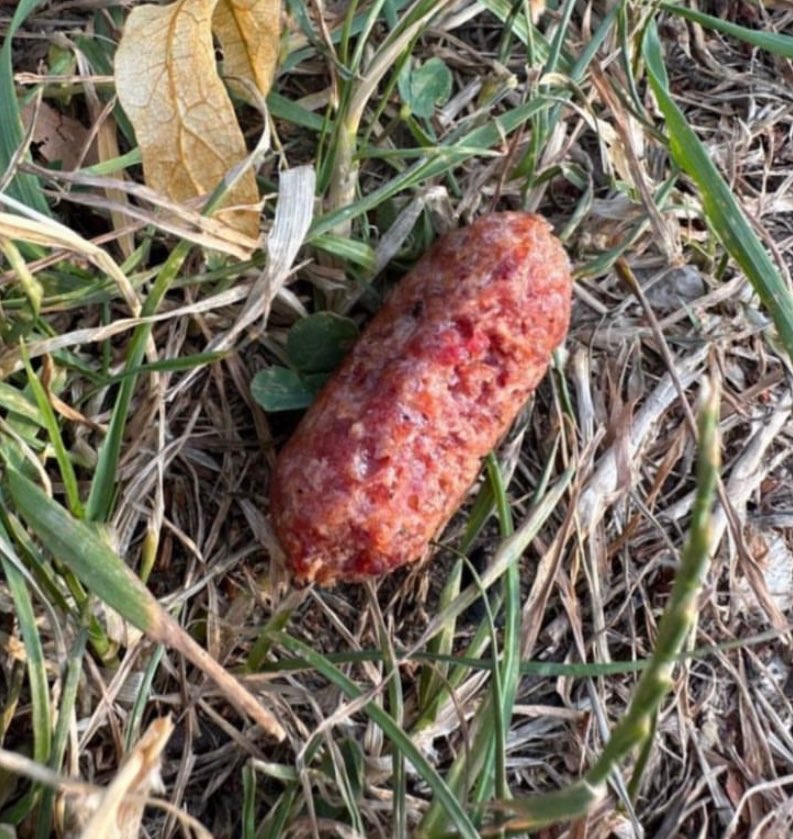 Giftköder-Giftköder-Profilbild