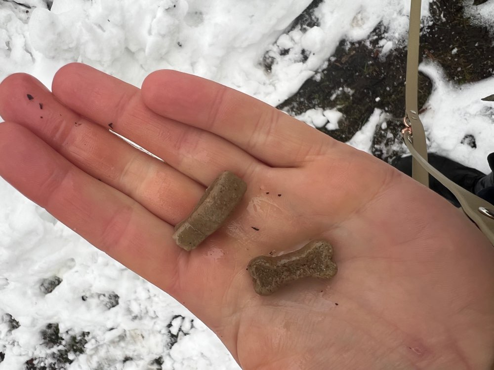 Giftköder-Leckerlis gefunden auf Grünstreifen-Profilbild