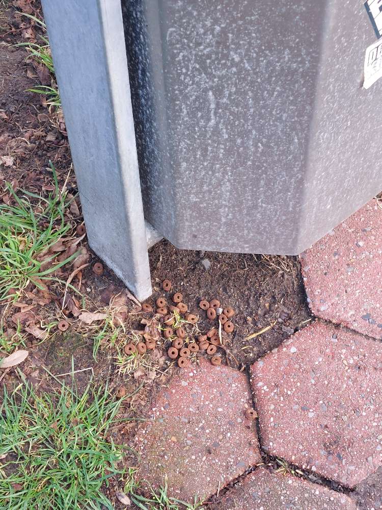 Giftköder-Hundefutter-Profilbild