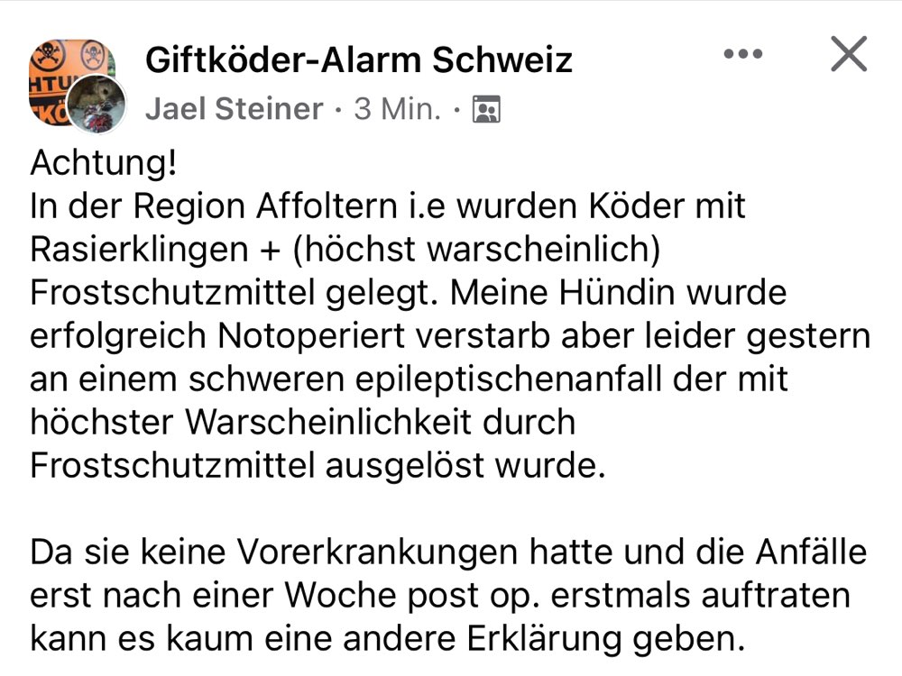 Giftköder-Köder mit Rasierklingen-Profilbild