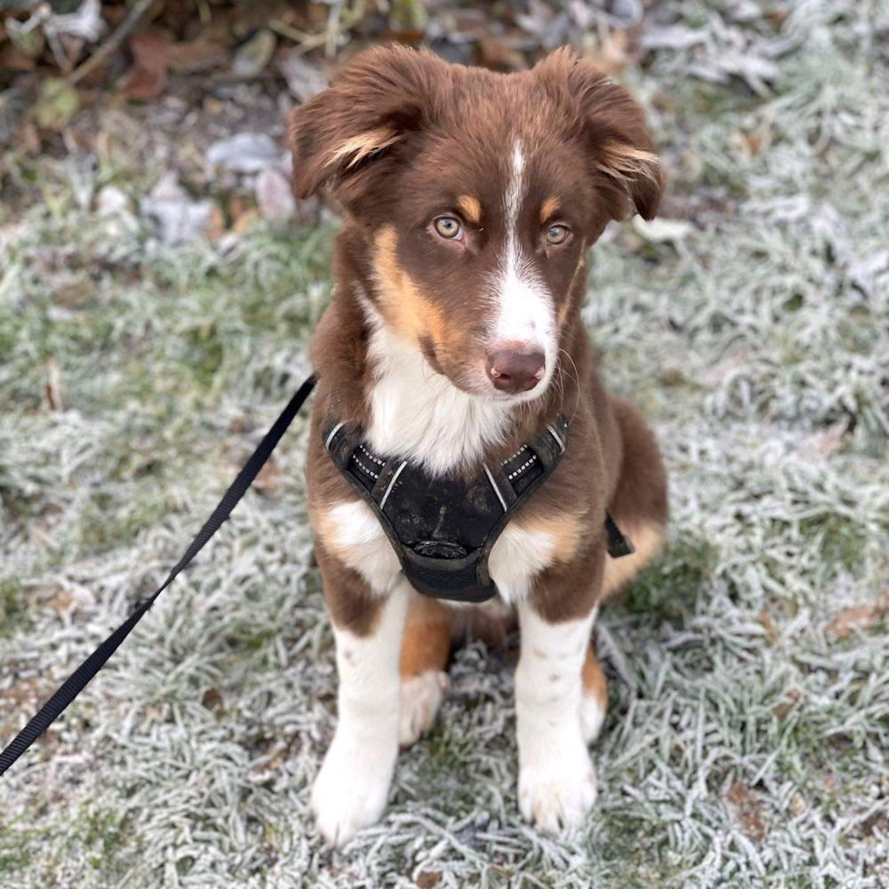 Suchmeldung-Denver-Profilbild