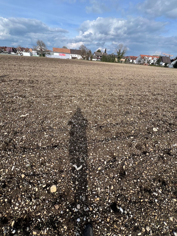 Giftköder-Möglicherweise Giftköder-Profilbild