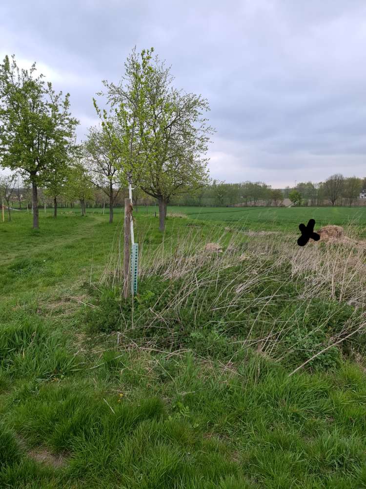 Giftköder-Tier Kadaver-Profilbild