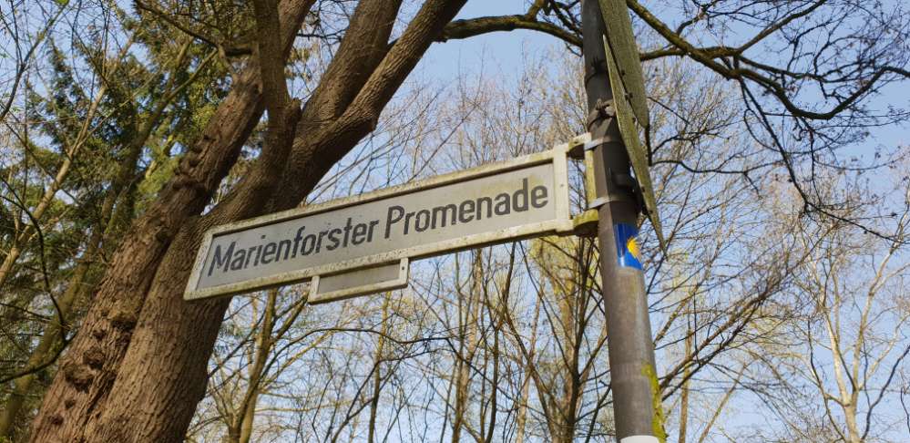 Giftköder-Viele "Vogelfütter-Bälle" im Gebüsch-Profilbild