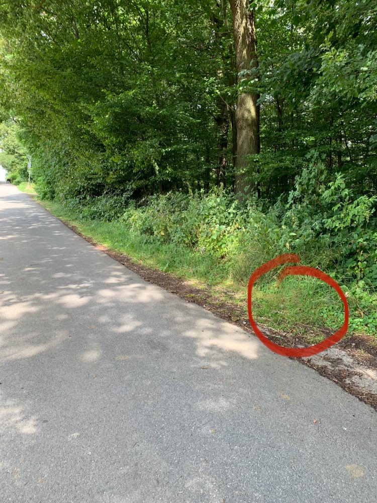 Giftköder-Evtl. Giftköder-Profilbild