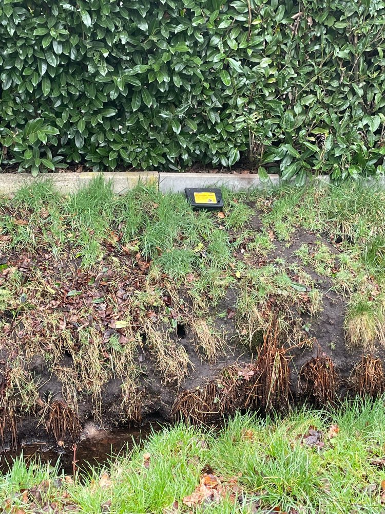 Giftköder-Rattengift in Box an Hecke-Profilbild