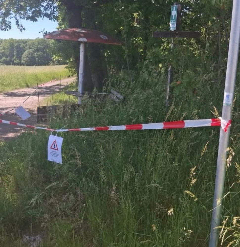 Giftköder-Eichenprozessionsspinner-Profilbild
