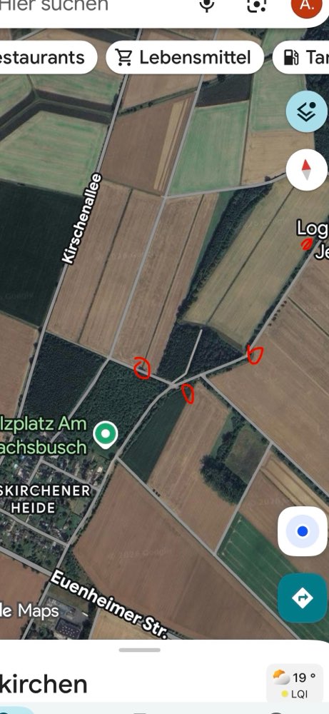 Giftköder-Eichen-Prozessionsspinner !-Profilbild