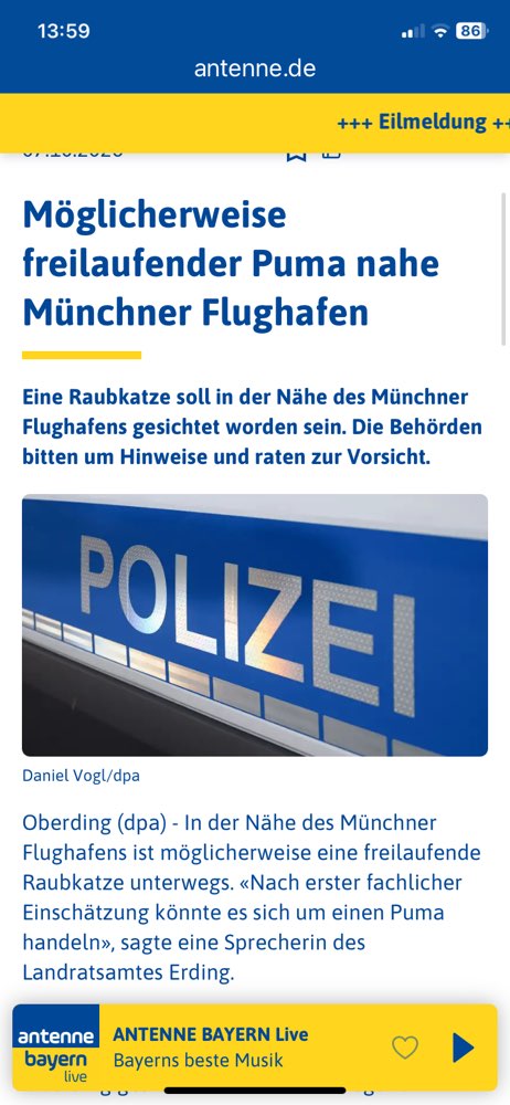 Giftköder-Freilaufende Raubkatze/Puma-Profilbild