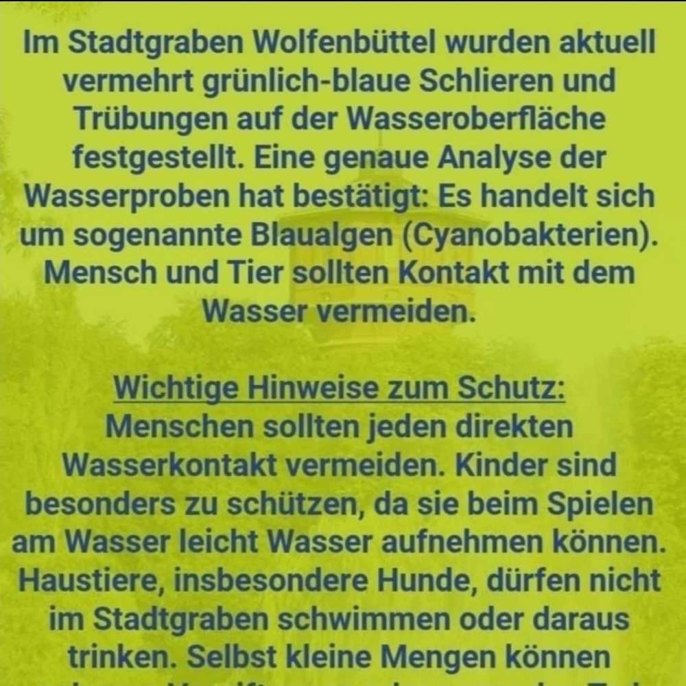 Giftköder-Blaualgen im Stadtgraben-Profilbild