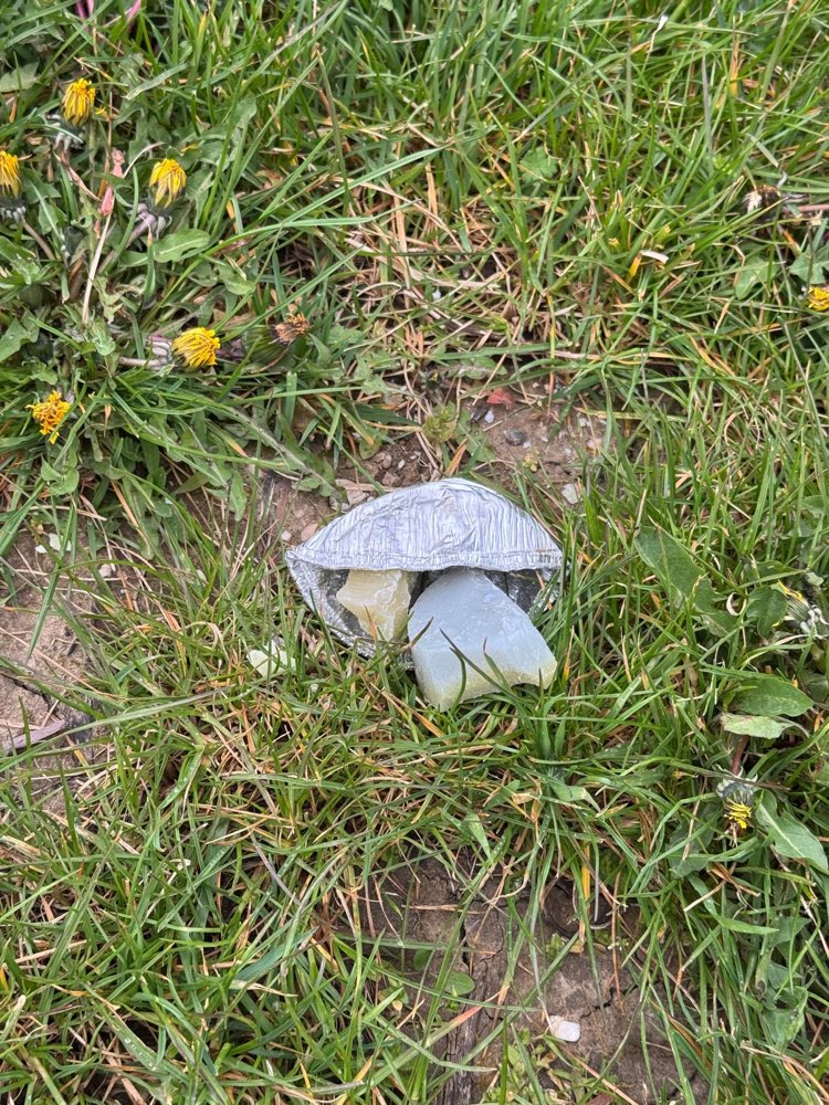 Giftköder-Möglicher Giftköder-Profilbild