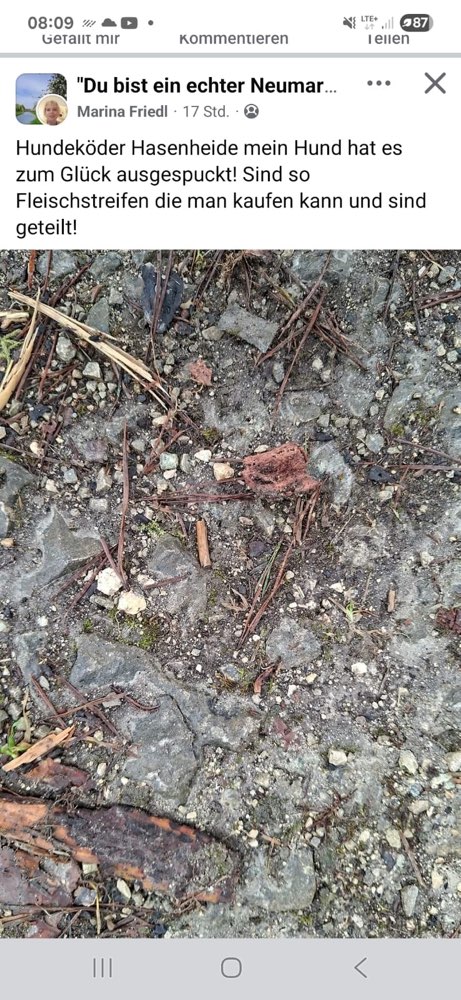 Giftköder-Giftköder in Trockenfleisch-Profilbild