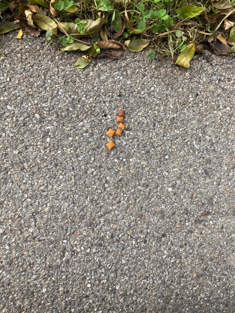 Giftköder-Verdächtige Leckerlies-Profilbild