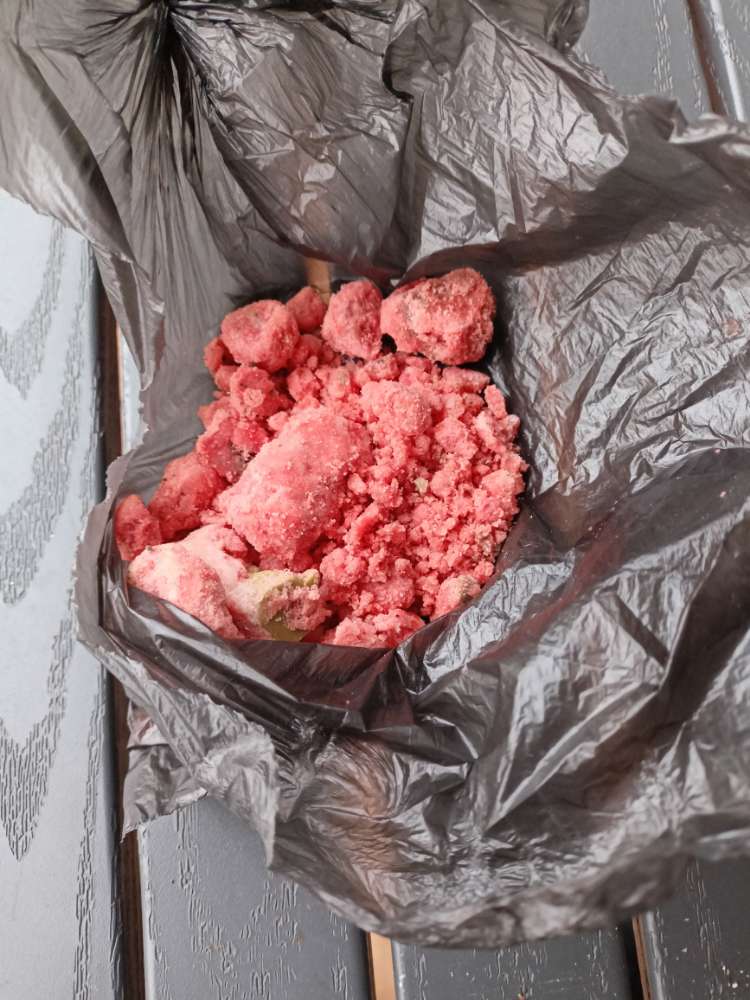 Giftköder-Wahrscheinlich Giftköder-Profilbild