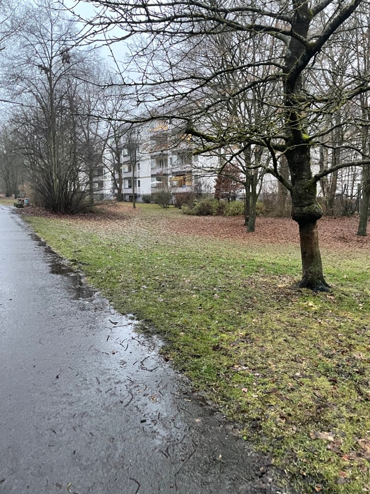 Giftköder-Gift-Profilbild