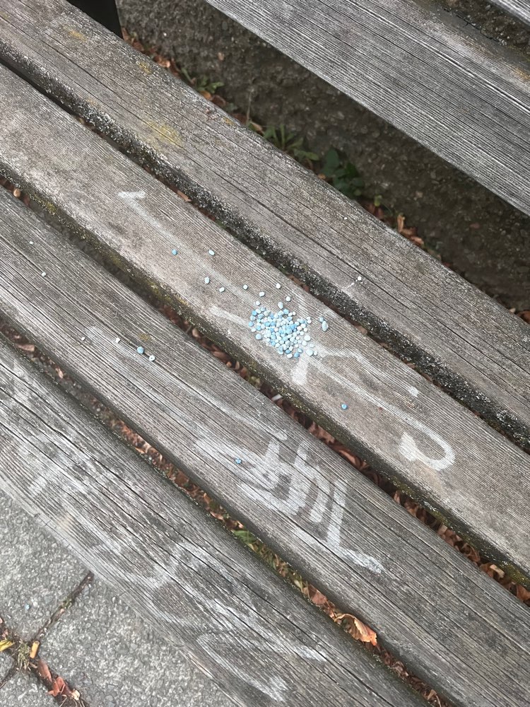 Giftköder-Evtl. Blaukorn auf der Bank-Profilbild
