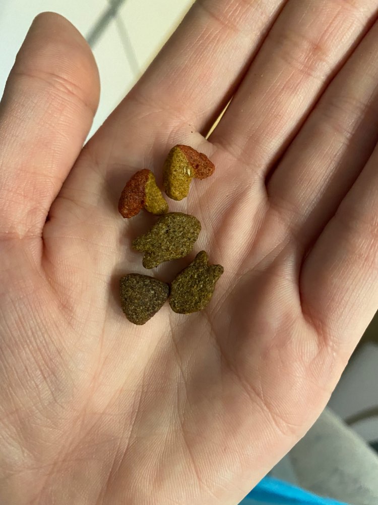 Giftköder-Mann legt ,,Leckerlis" aus-Profilbild