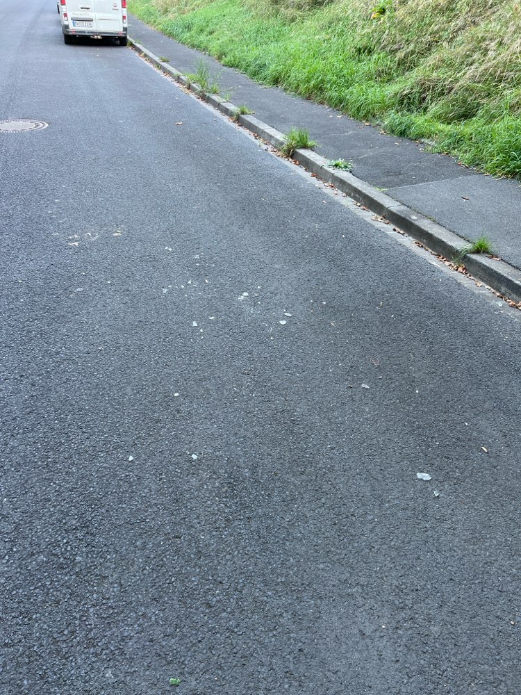 Giftköder-Glasscherben-Profilbild