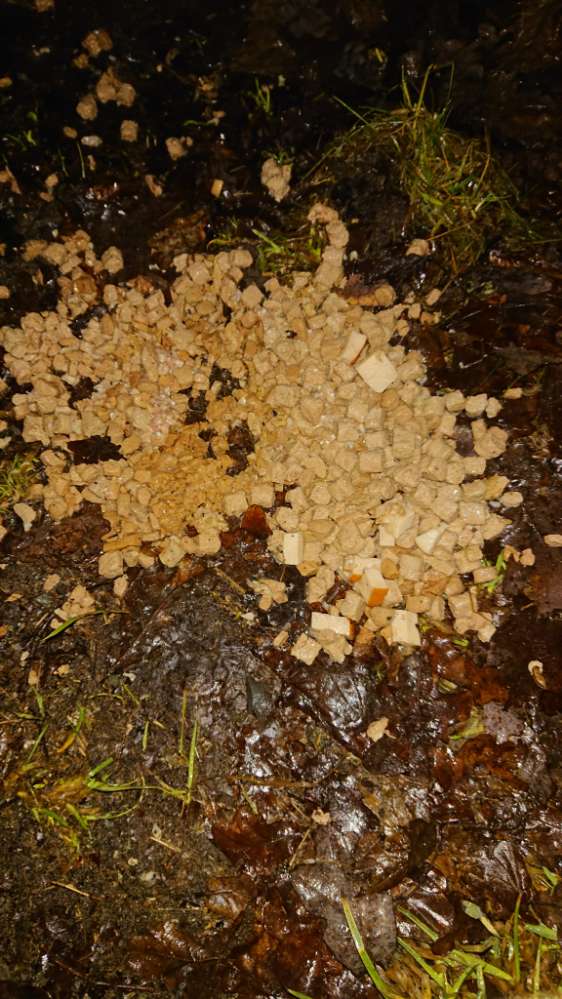 Giftköder-Mögliche Giftköder-Profilbild