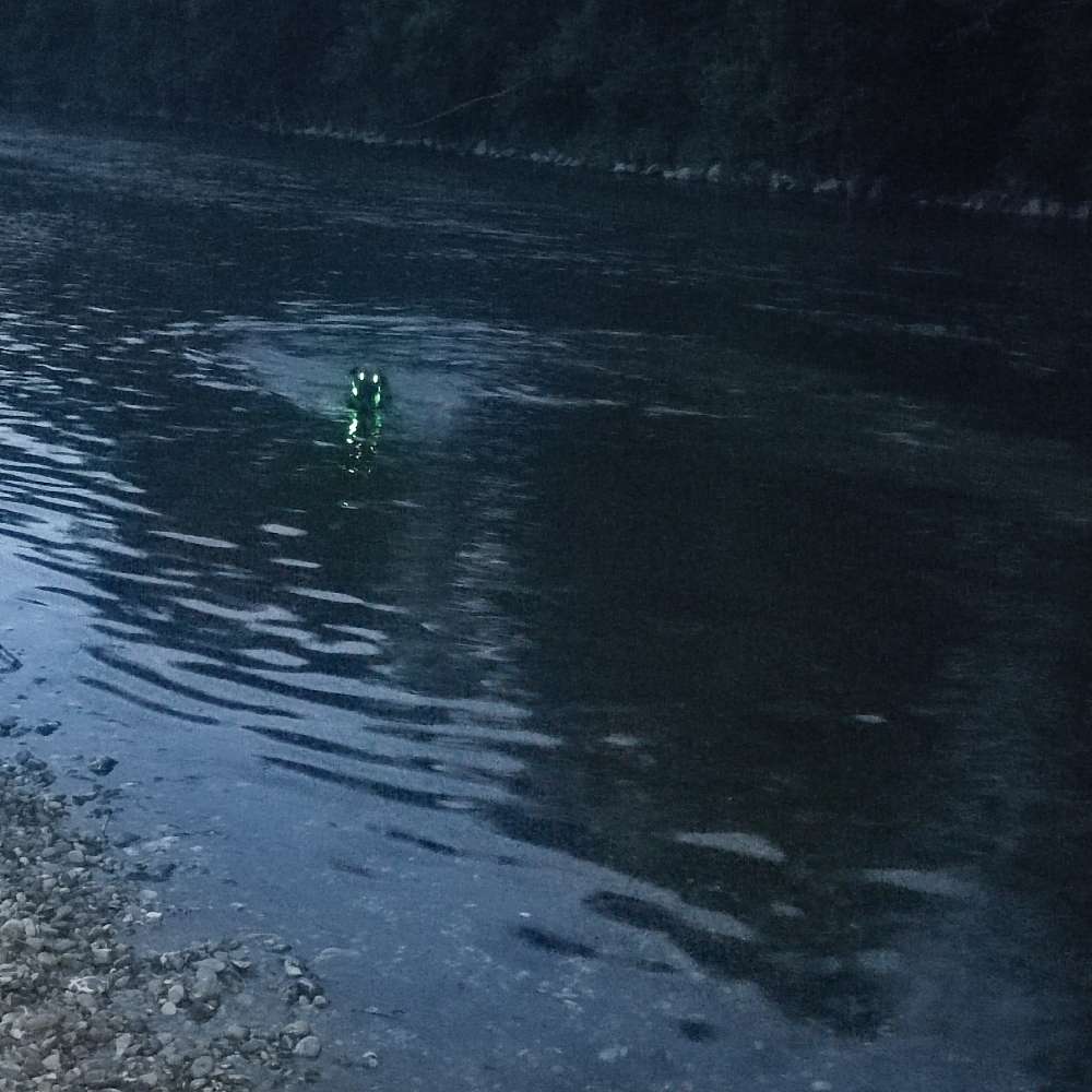 Hundetreffen-Freund gesucht zum fetzen-Profilbild